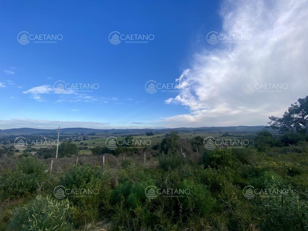 Venta campo 261 hectareas. Ruta 12 Maldonado.
