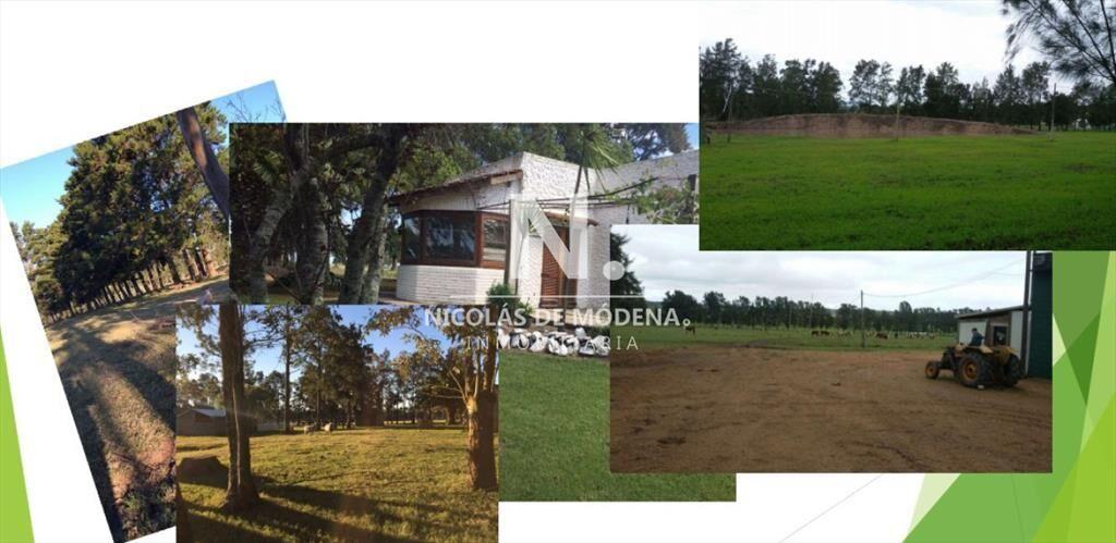 Chacra en venta, ruta 9