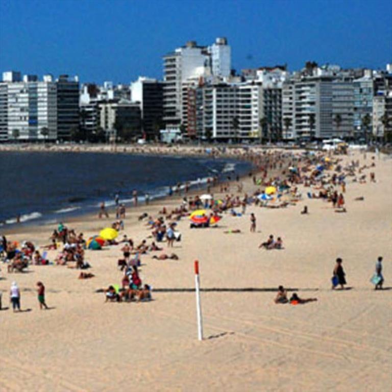 Venta local comercial sobre calle Berro