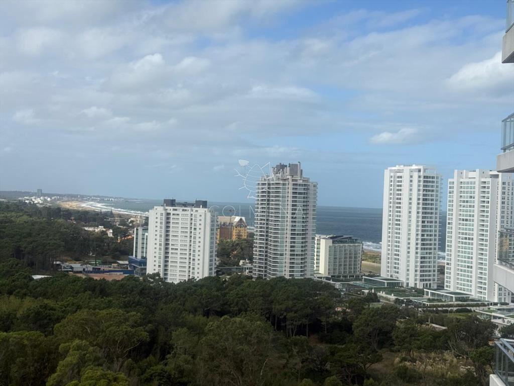 TORRE ONE 2