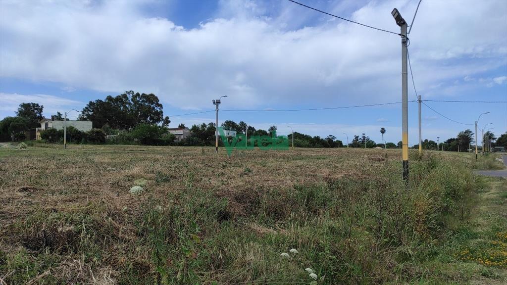 Venta últimos Terrenos con saneamiento. . Suc