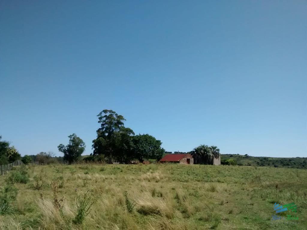 Pintoresco campo Ganadero muy bien ubicado.