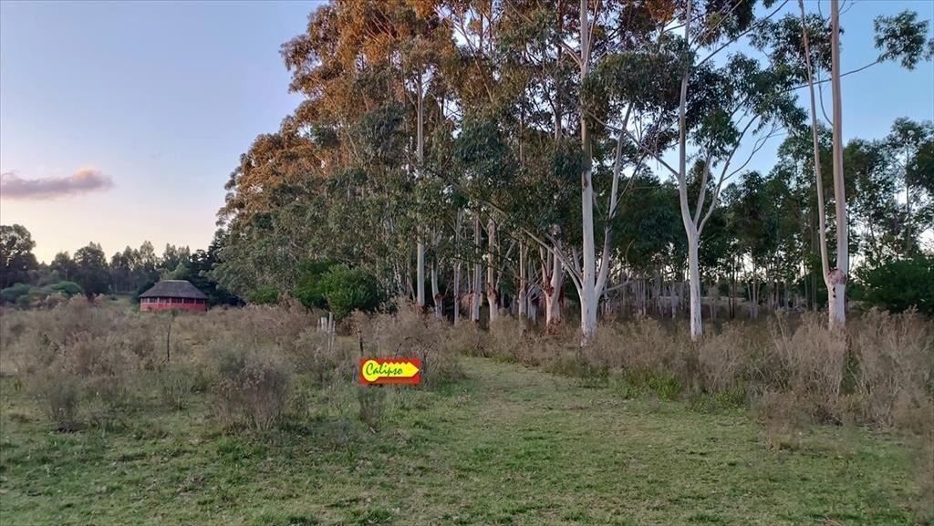 Venta - Campo de 5,6 hectáreas - A 8 km de Atlantida
