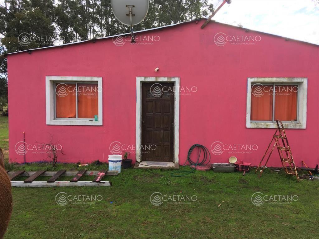 Chacra en La Pataia - Punta Ballena