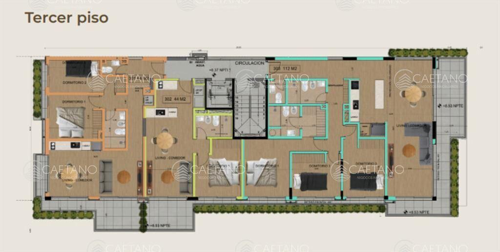 PROYECTO MODELO, nuevo lanzamiento en Punta del