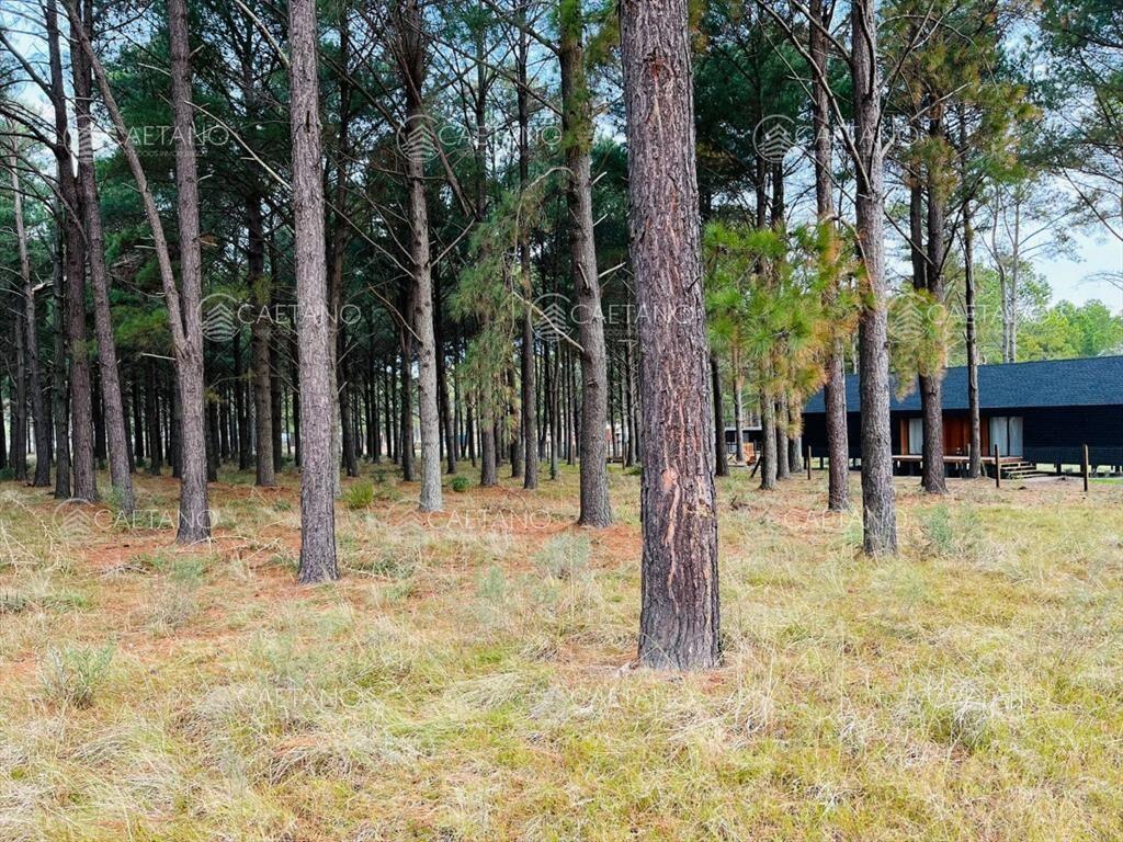 Terreno en Oportunidad Chacras del Pinar
