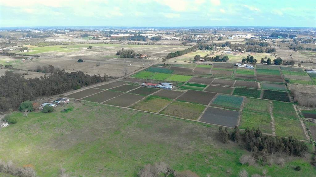 Venta campo de 7 Ha. en Camino Los Horneros