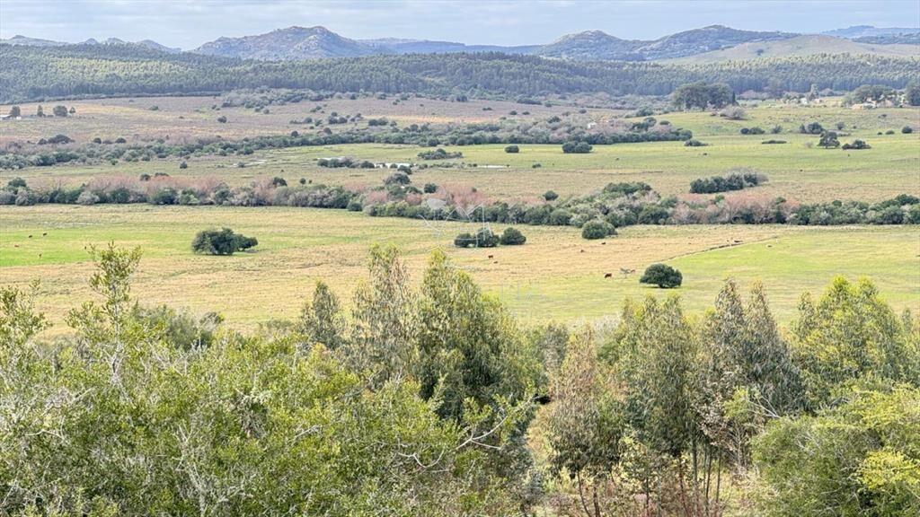 Chacra 5 has en Campanero con buena vistas y