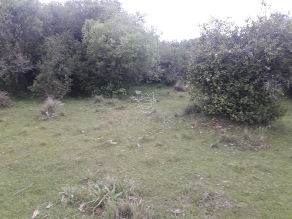 Campo de 47 has en Paraje los Caracoles - !!!!!