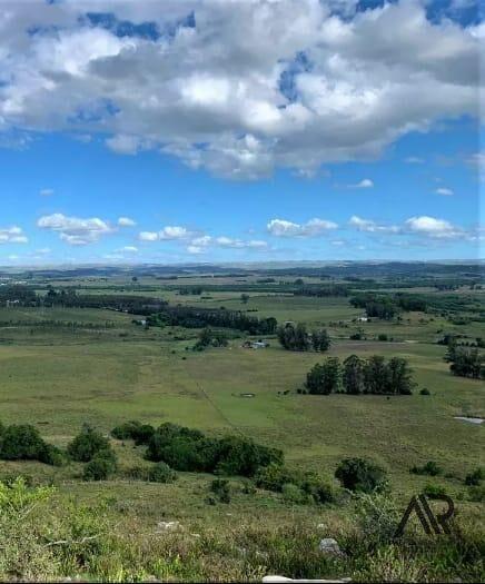 Campo en venta Lavalleja