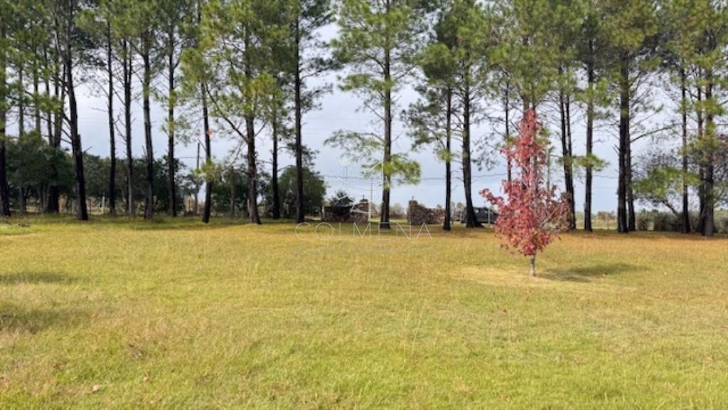 Campo 12 has con casa y piscina a 21 km de Punta