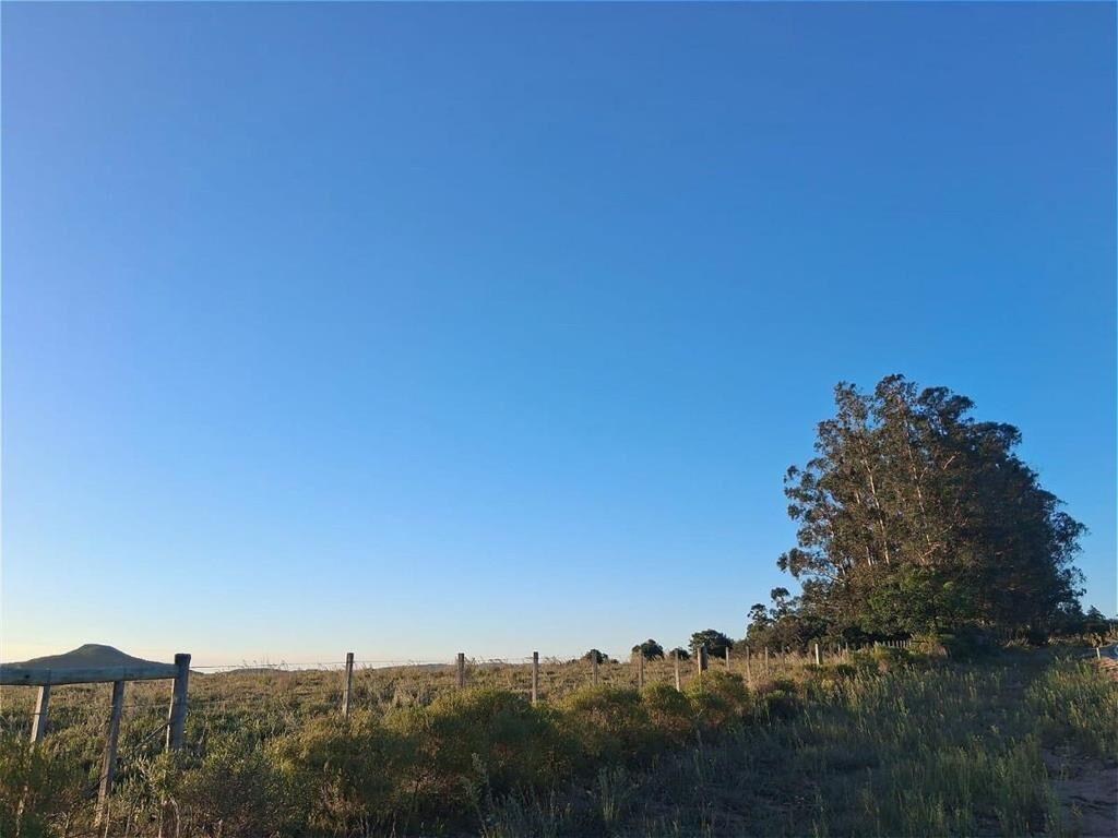 Chacra en San Carlos
