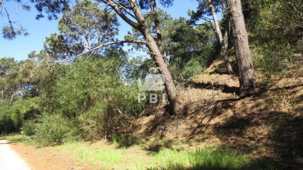 Terreno en venta Club Del Lago - Ref : PBI1151