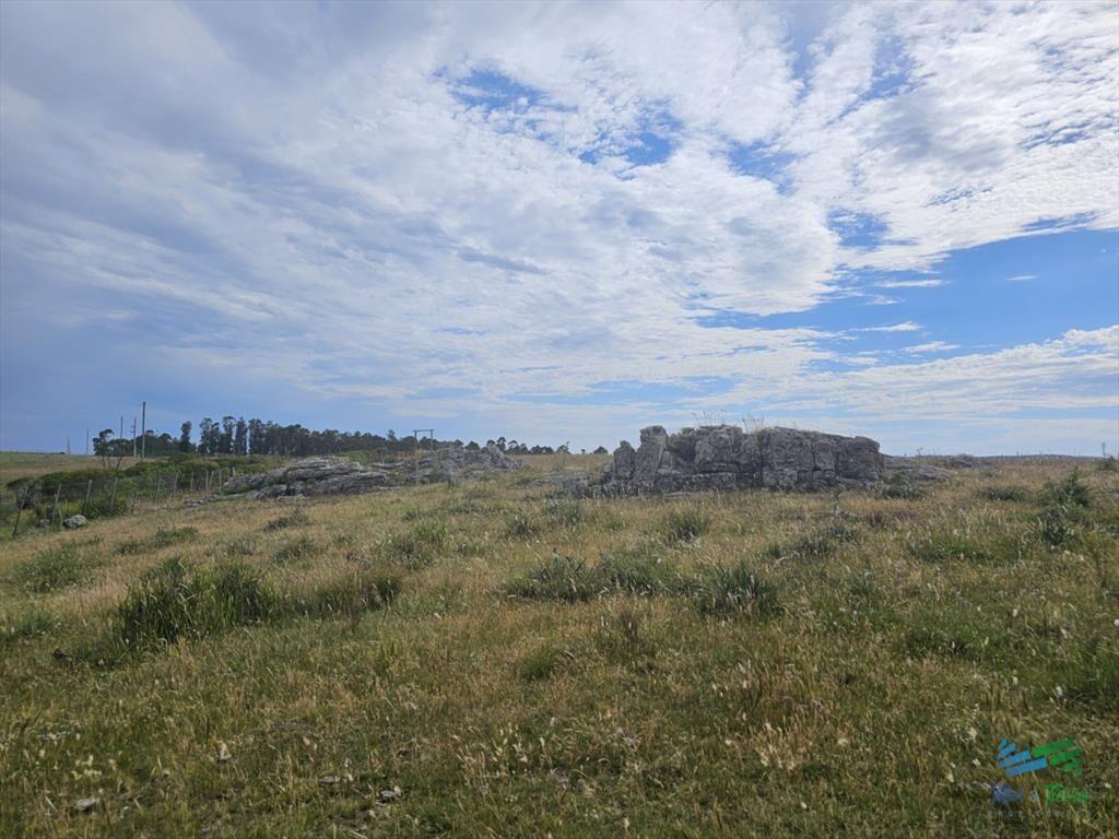 En venta chacra 3 hectareas, proxima ruta 39, a