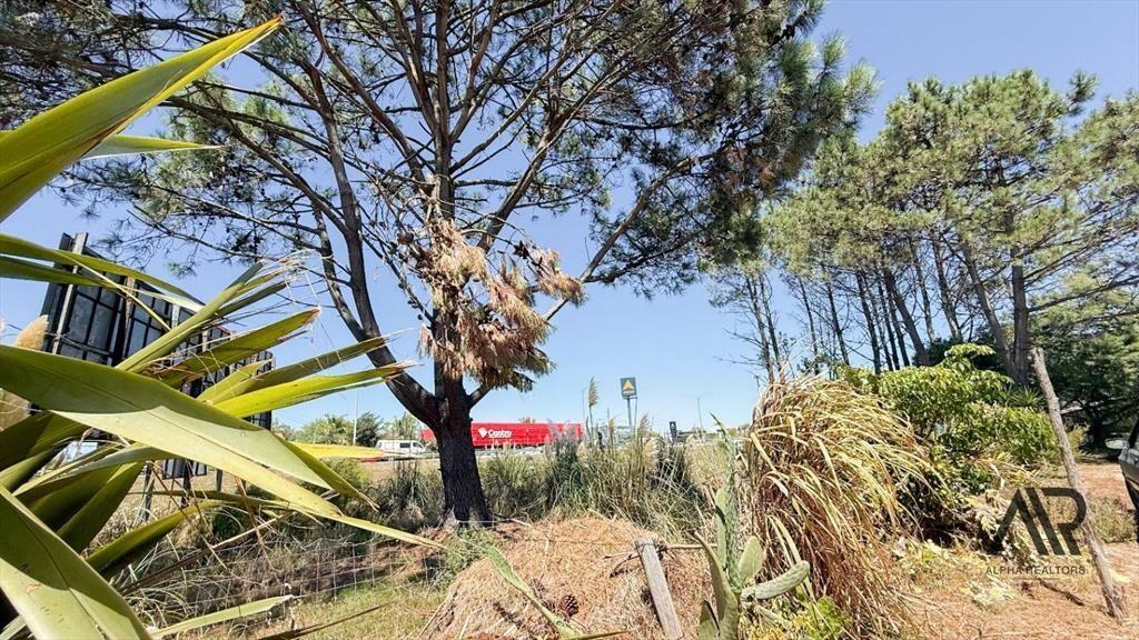 VENTA DOS CASAS MISMO PADRON LAS TOSCAS RUTA INTERBALNEA...
