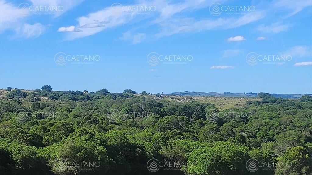 Campo 60 hs en Pueblo Edén Ruta 12