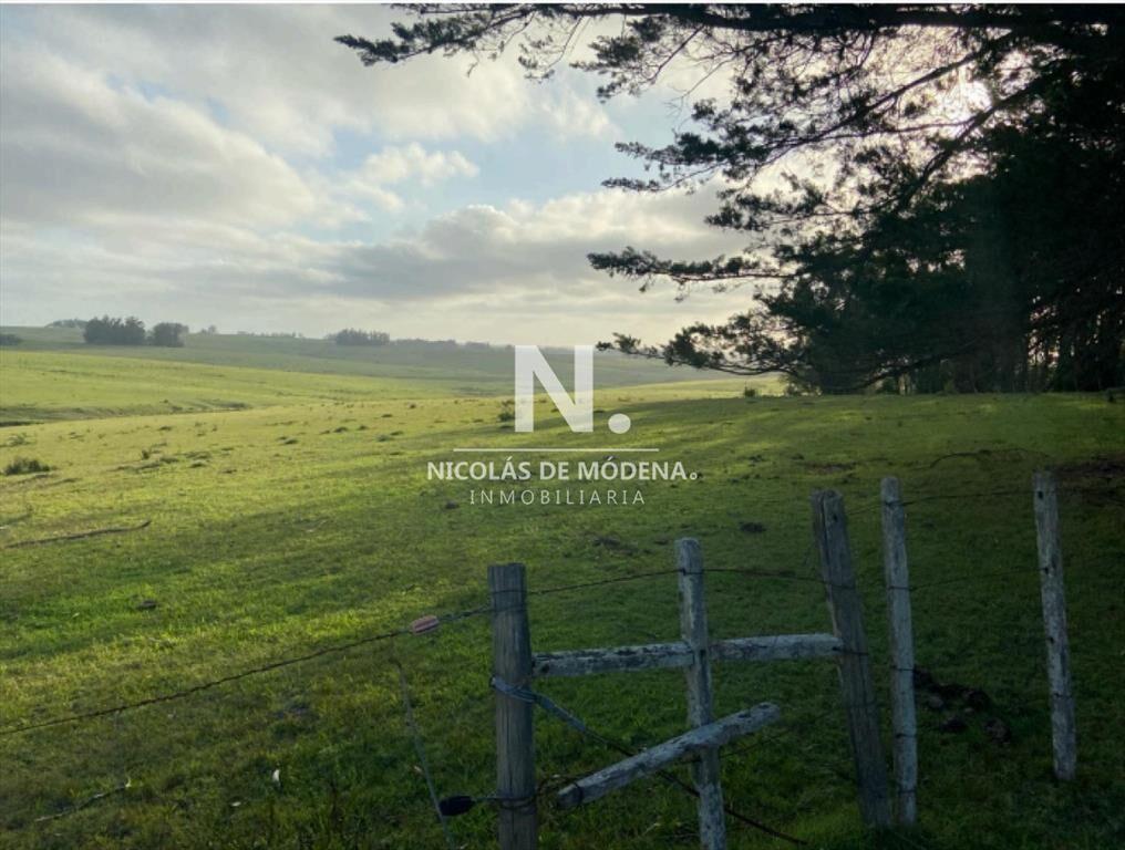 Vende excelente campo en  Jose Ignacio, ideal fin