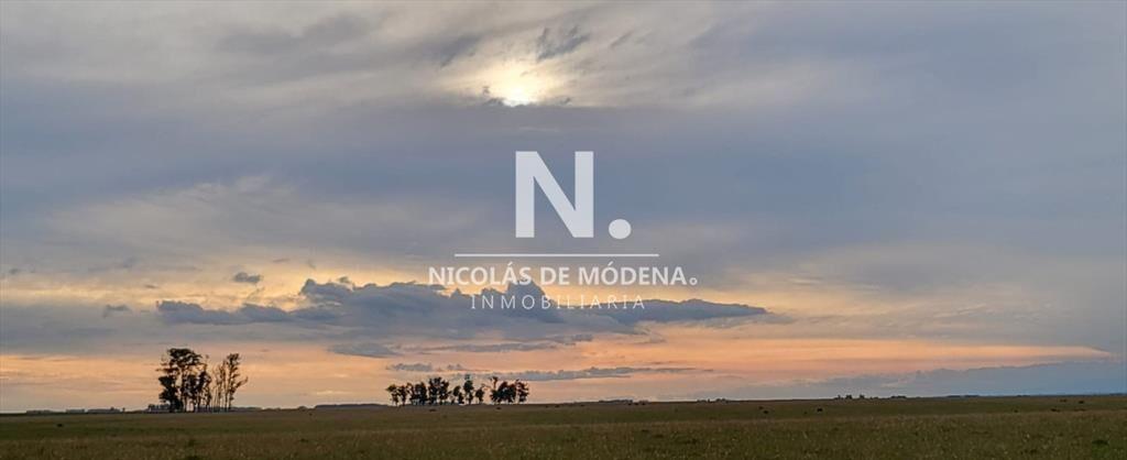 En venta campo en Treinta y Tres, ubicado a 12 de