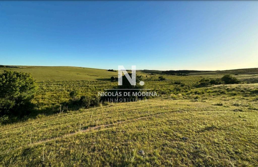 Vende campo de 42 has, en Maldonado Garzon.