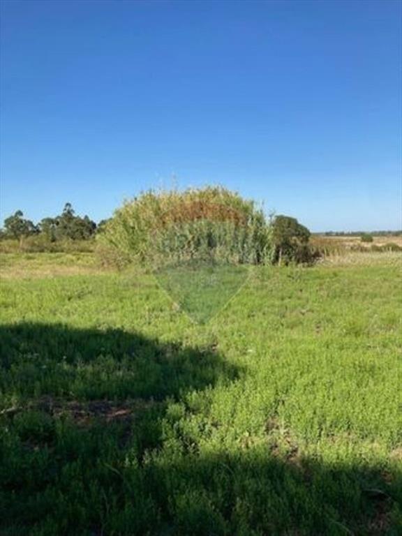 VENTA Chacra 3 has, Ruta 7, San Jacinto.