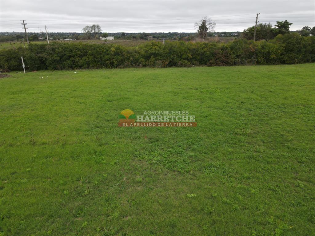 Terreno en Progreso, 360 m2 en Jardín de los Ingleses (7)