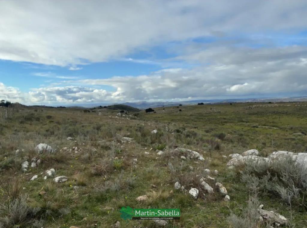 Campo en Venta - Lavalleja