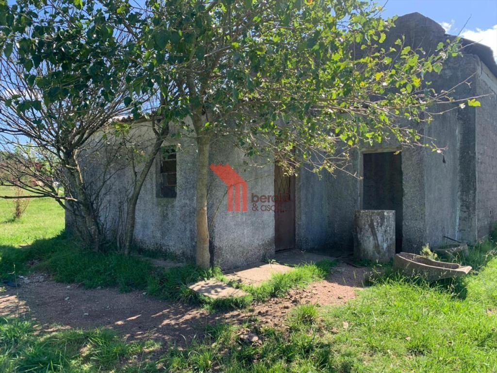Venta de chacra productiva Excelente índice 193