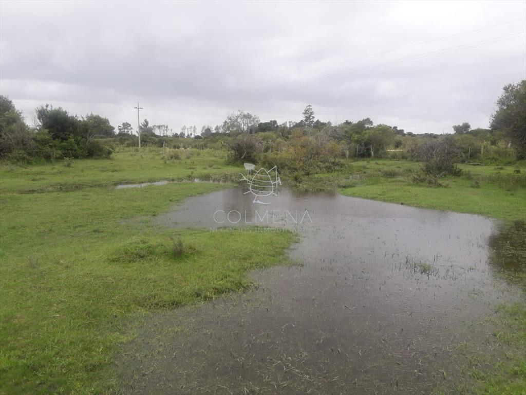 Campo de 5 has con 5891 m2
