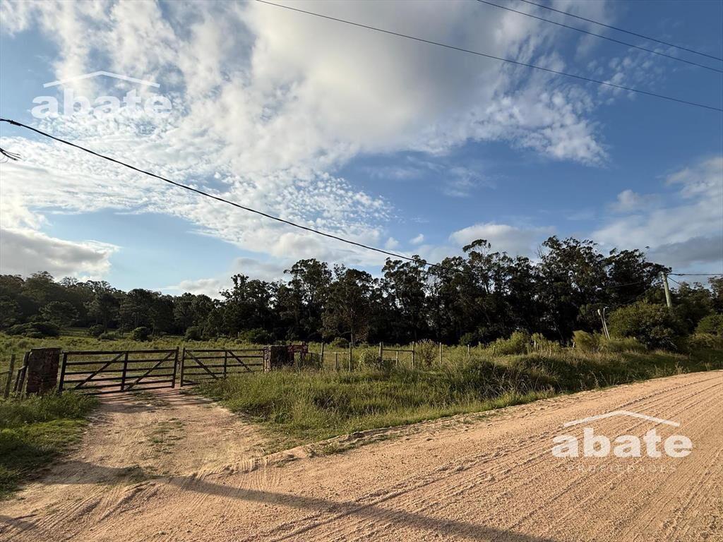 Chacra en zona La Pataia, 6 hectáreas alambrado