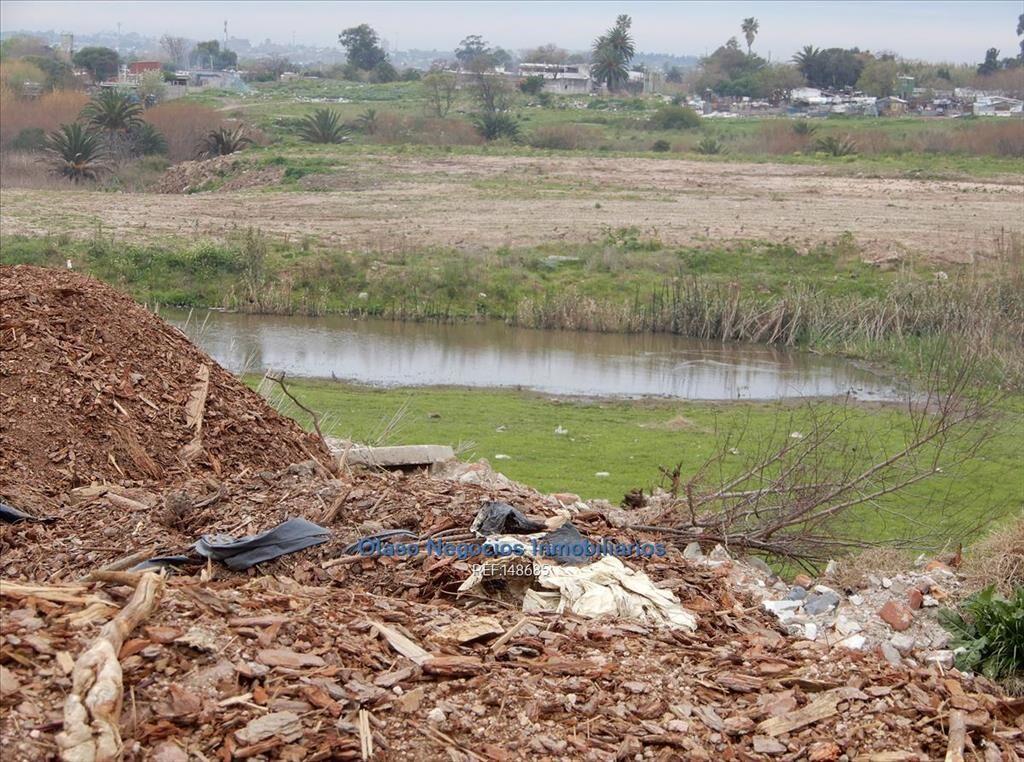 4 hás a la venta en CERRO NORTE
