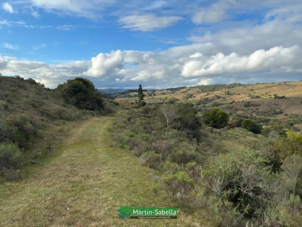 Campo en Venta - Lavalleja