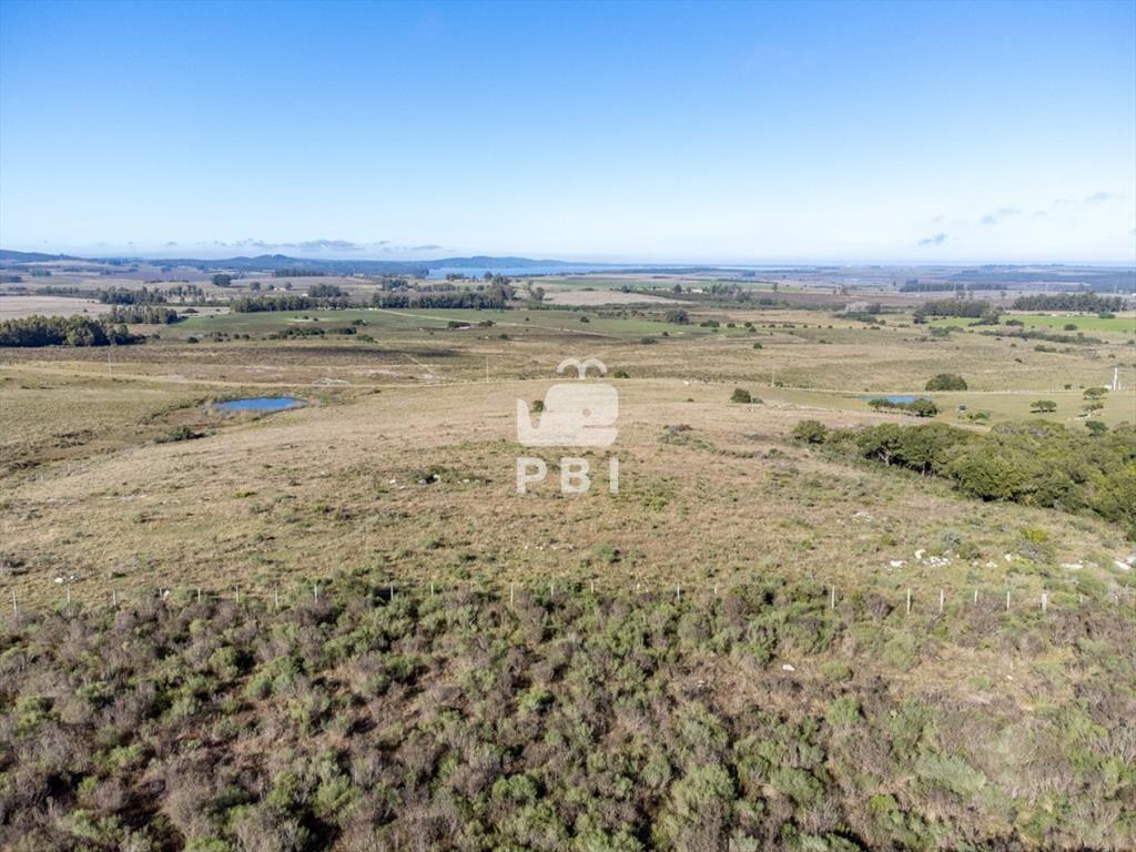 Chacras en venta en Maldonado.  - Ref : PBI14912