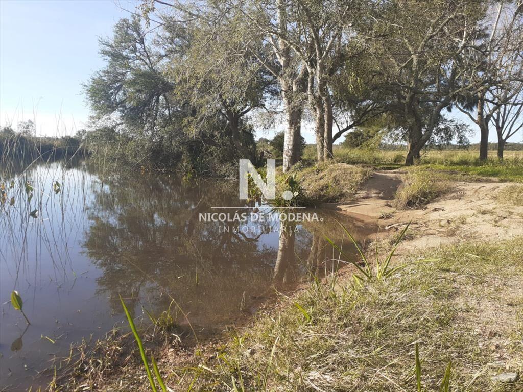 Campo de 31 has proximo a Ruta