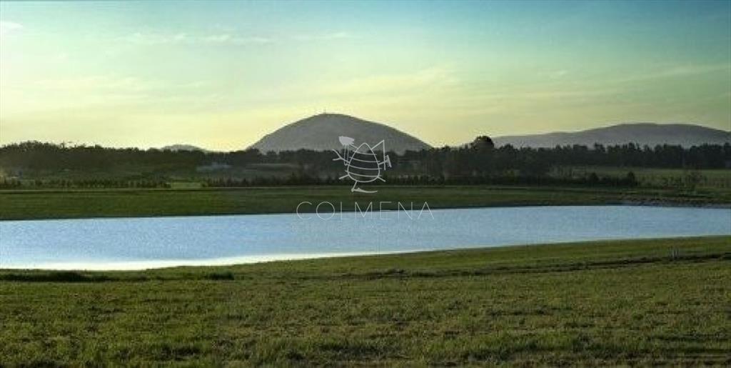 Terreno en Punta Ballena, Laguna de los Cisnes