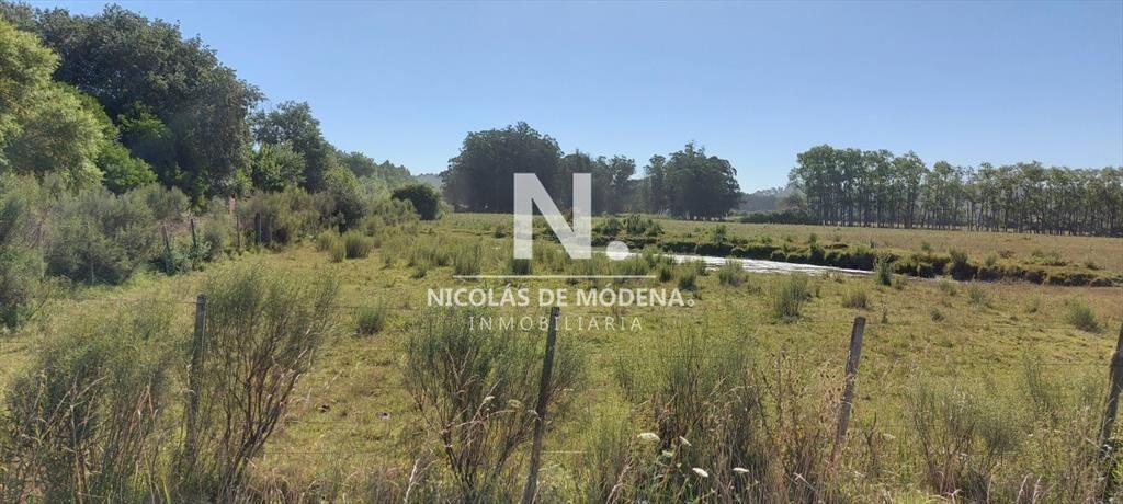 Venta fracción de campo en zona La Pataia