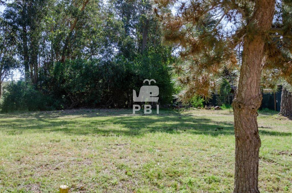 Venta de Terreno en Piedras del Chileno, Punta -