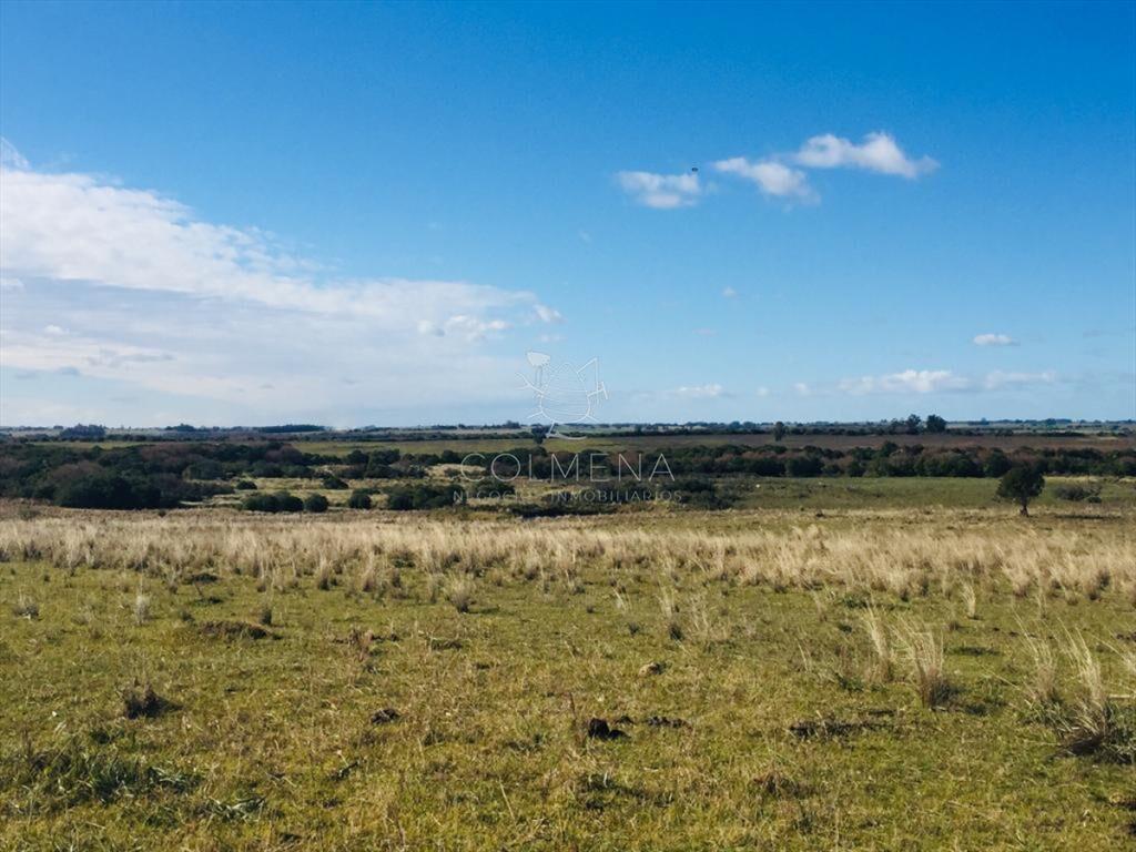 Muy linda parcela de campo sobre ruta a pocos Km