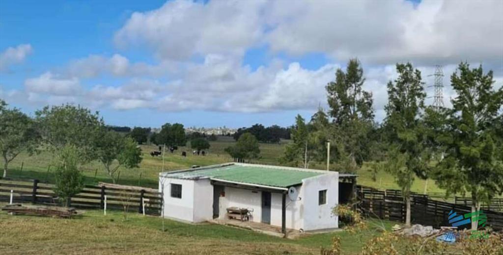 Muy linda fracción de campo, excelentemente con
