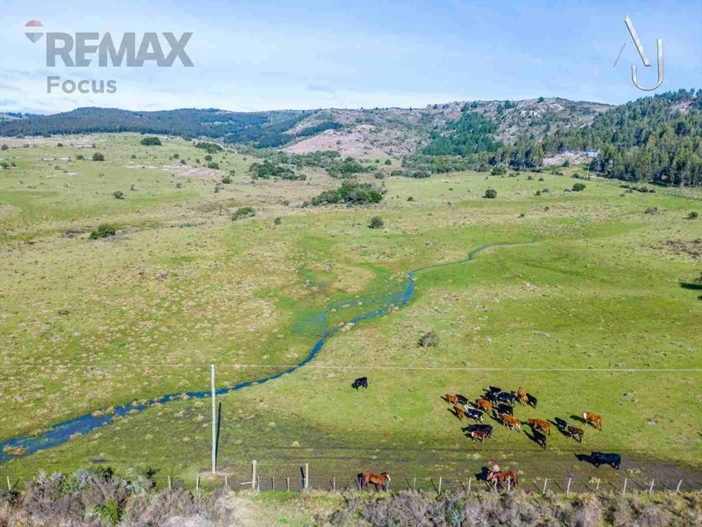Venta de campo 25,7 Ha. en Minas, Lavalleja.