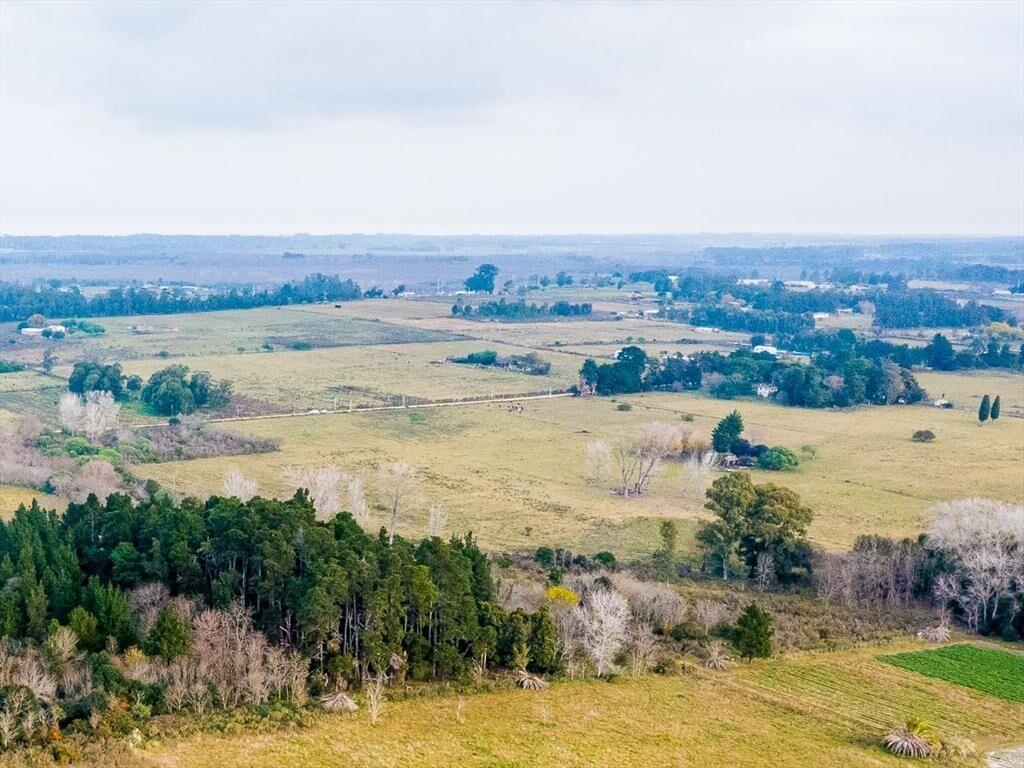 Venta de campo 3Ha. en Rincon de Pando, Canelones