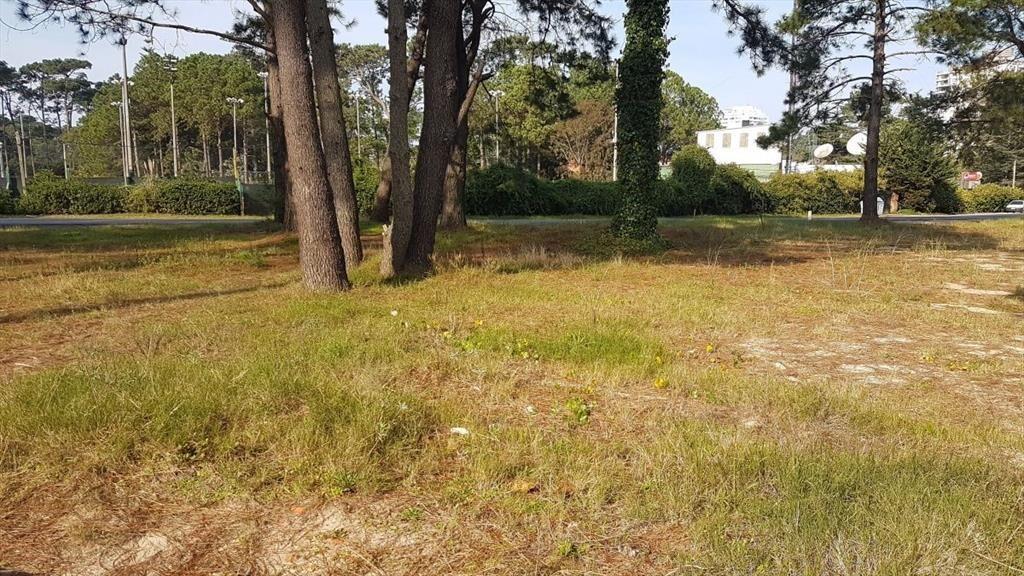 Terreno en Cantegril