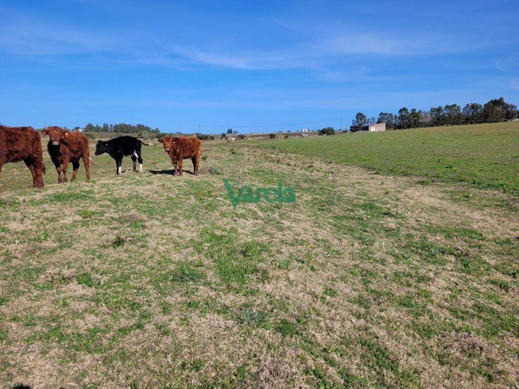 Venta de chacra en Atlantida