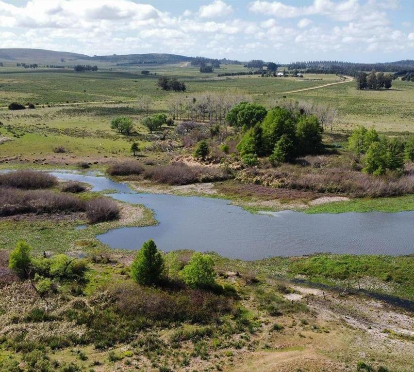 Venta Campo 17 ha sobre la Laguna del Sauce Punta del Este