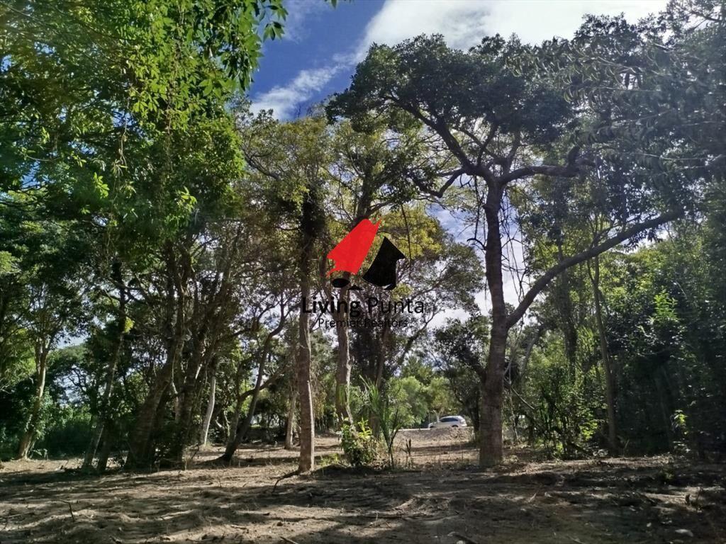 Hermoso terreno