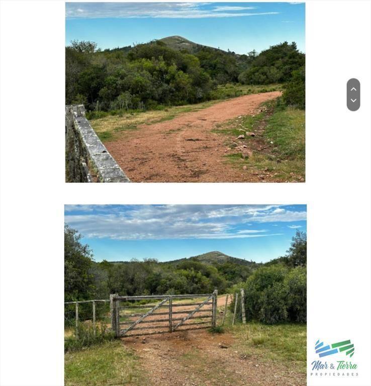 555 Has Campo Mixto Ganadero ? Forestal