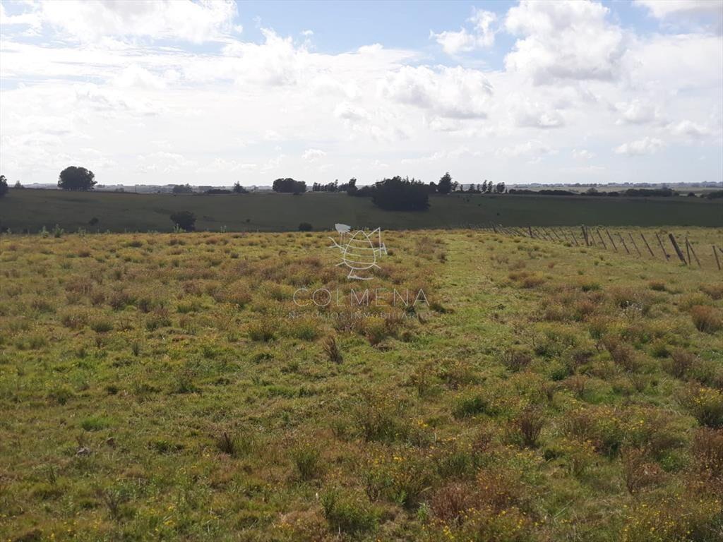 Campo 18 has en las Cañas - Consulte!!!!!!