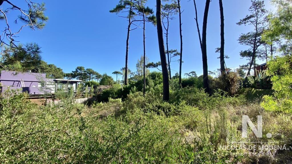Lote a la venta en la barra