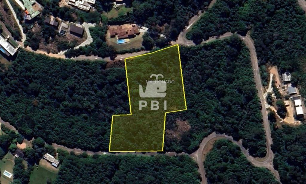 Terreno en venta en Las Cumbres, Punta Ballena - Ref : PBI
