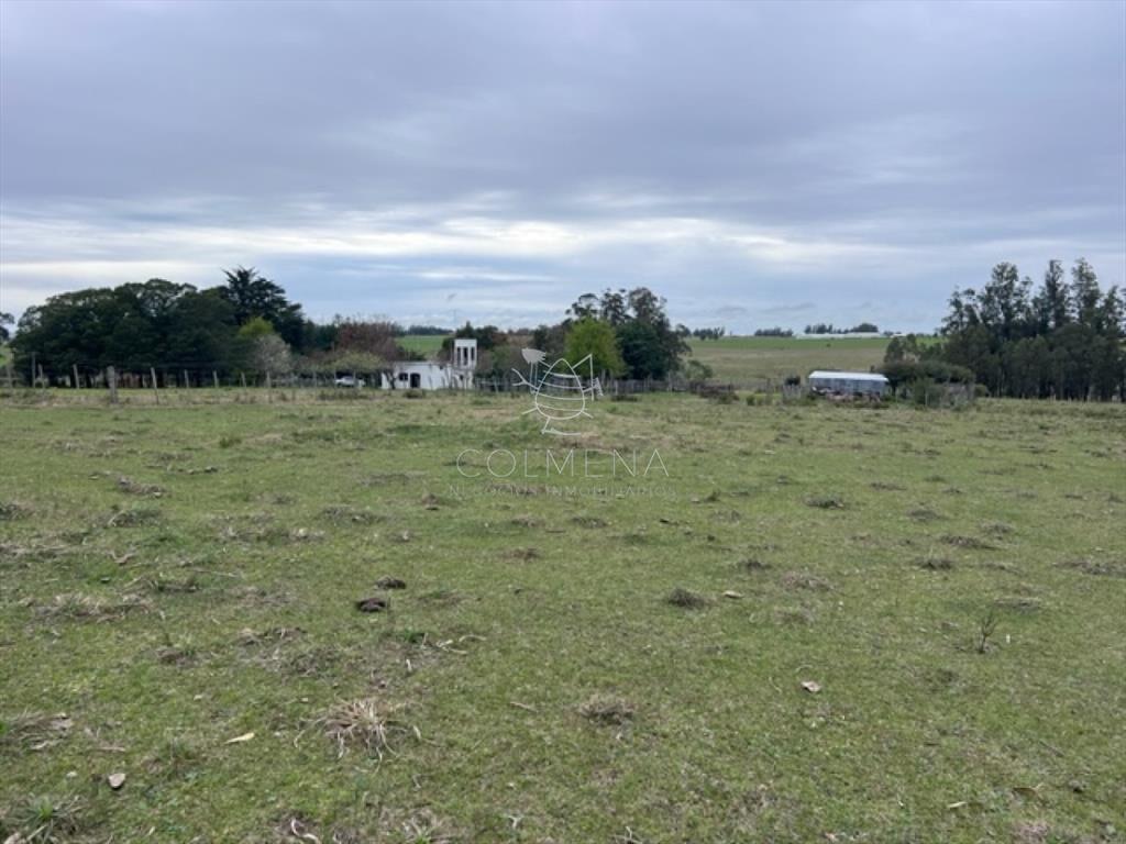 Campo de 22 has 6862 m2 cerca de Punta del Este