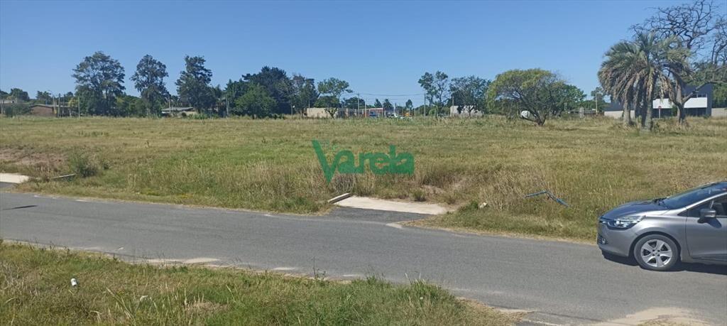 Venta últimos Terrenos con saneamiento. . Suc